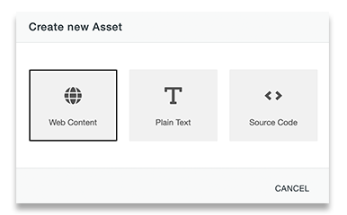 asset options