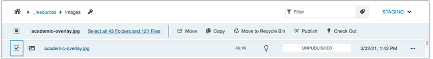 publish files