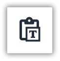 paste as text button