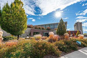 Fall 2023 Lunch and Learn Event
